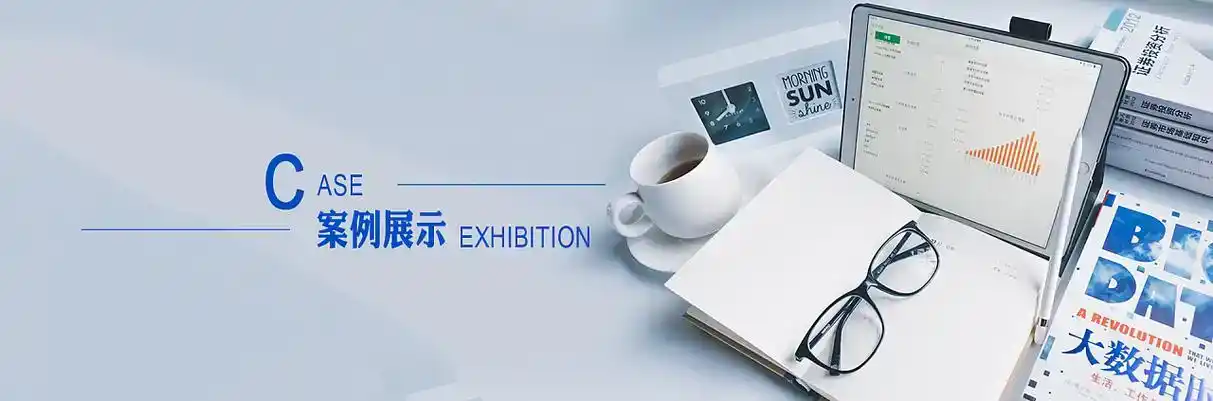 红古区软件开发